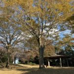 寺院墓地と霊苑の違い